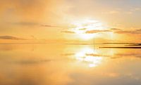 vlieland golden sunset van hein van houten thumbnail