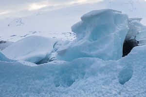 Bloc de glace en forme de tête de chien
