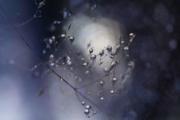 Zilveren Waterdruppels | Tak met blaadjes paars | van Nanda Bussers
