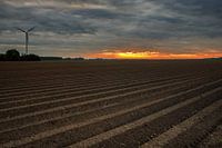 Zonsopkomst in de polder