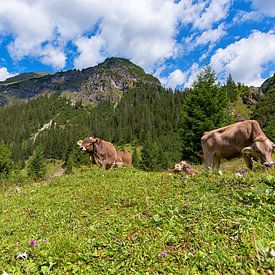 Koeien in de bergen van Oostenrijk van Robin van Maanen