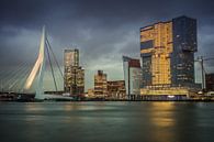 Skyline Rotterdam Erasmusbrücke Willemskade von Manon Ruitenberg Miniaturansicht