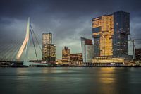Skyline Rotterdam Erasmusbrücke Willemskade