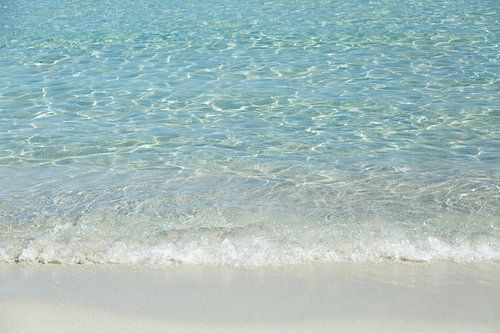 The Ocean