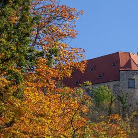 Neuenburg Castle, Freyburg an der Unstrut by Torsten Krüger