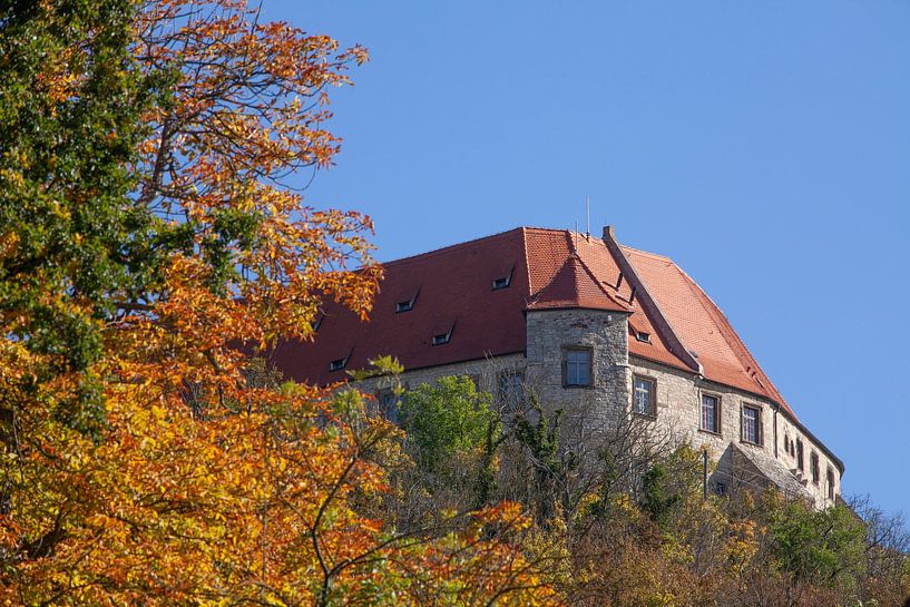 Neuenburg Castle, Freyburg an der Unstrut by Torsten Krüger