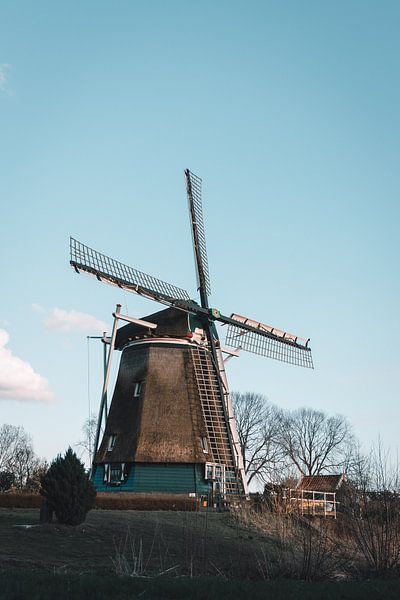 Amsterdam by Hello Pompoyo