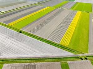 Abstrakte Agrarlandschaft in Flevoland von oben gesehen