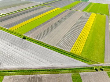 Agrarisch abstract landschap in Flevoland van bovenaf gezien van Sjoerd van der Wal Fotografie