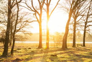 Lever de soleil Dwingelderveld Drenthe (Pays-Bas) sur Marcel Kerdijk