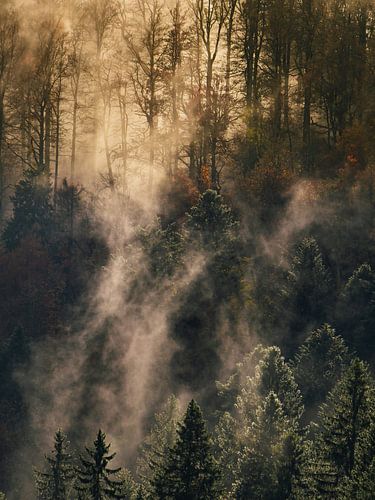 Brouillard brulant