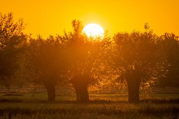 Zonsopgang van Peter Deschepper