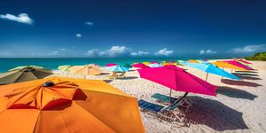Parasols colorés sur une plage des Caraïbes. sur Voss Fine Art Fotografie