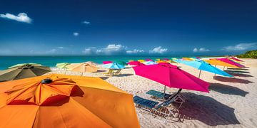 Colourful parasols on the beach of Aruba in the Caribbean.