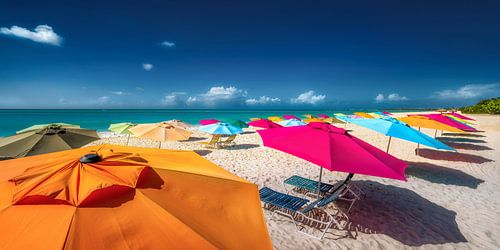 Kleurrijke parasols op het strand van Aruba in het Caribisch gebied.