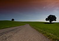 Morgens in Bayern