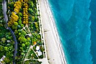 winding road among the green and yellow autumn forest. Aerial view from top to bottom of the turquoi by Michael Semenov thumbnail
