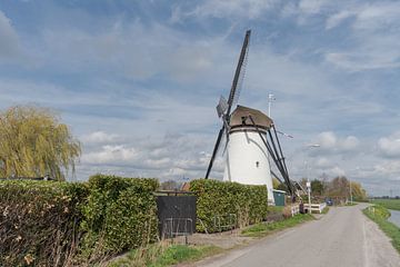 Kooiwijkse molen in Oud-Alblas