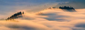 Pieniny misty sunrise by Wojciech Kruczynski