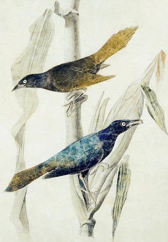 Retro Vogellandschap