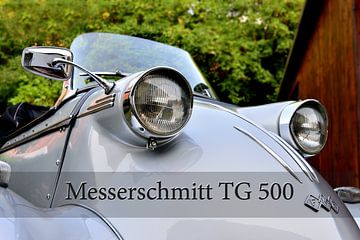 Messerschmitt TG 500 Tiger Pic 11 von Ingo Laue