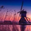 Kinderdijk lonely mill by Michael van der Burg