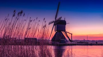 Kinderdijk einsame Mühle von Michael van der Burg