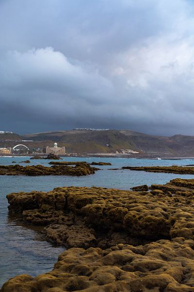 Auditorium Between Tides par Mariacristina Ello
