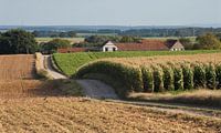 Limburgse heuvels