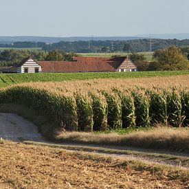 Limburgse heuvels van Wim van der Ende