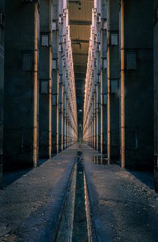 Black River Industrial