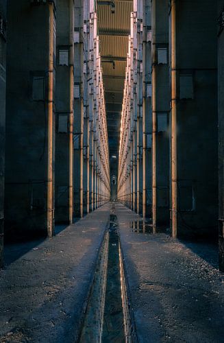 Black River Industrial sur Dafne Op 't Eijnde