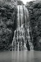 Photo nature chute d'eau en Nouvelle-Zélande