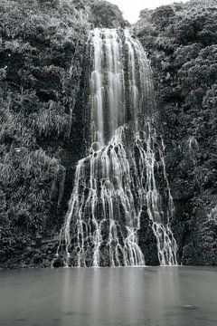 Natuur foto waterval in Nieuw-Zeeland van Senta Bemelman