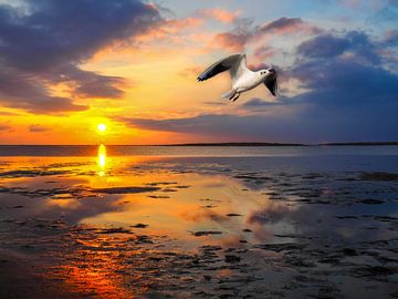 Möwe fliegt über das Wattenmeer an der Nordsee