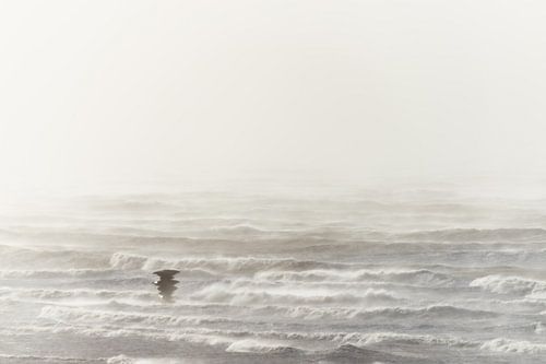 Stormige zee