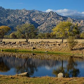 Regionaal park van de Cuenca Alta del Manzanares van Iris Heuer