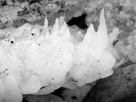 Stachliges Eis von Jörg Hausmann