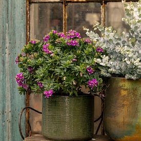 Still life, Green House, eucalyptus in copper pot by Oda Slofstra