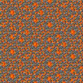 Vogels en Vlammen van Tis Veugen