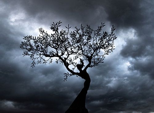 Weibliche Figur im Baum vor einem märchenhaften Hintergrund.