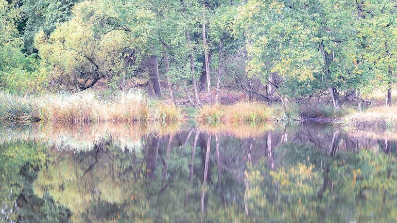 Reflections Noorderheide by Sonny Vermeer