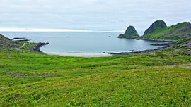 Atmospheric Evening on Sandvikbukta by Gisela Scheffbuch