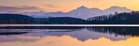 Abtsdorf Lake and Alps by Martin Wasilewski thumbnail