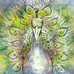 Japanischer Pfau