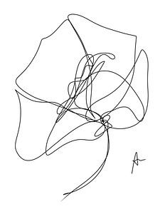 One line drawing Rose