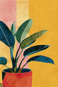 Plante scandinave