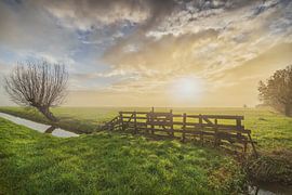 Paysage des polders néerlandais sur Original Mostert Photography