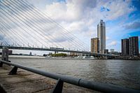 Salmon Harbour Tower