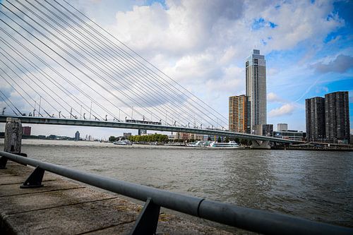 Tour du port de Salmon